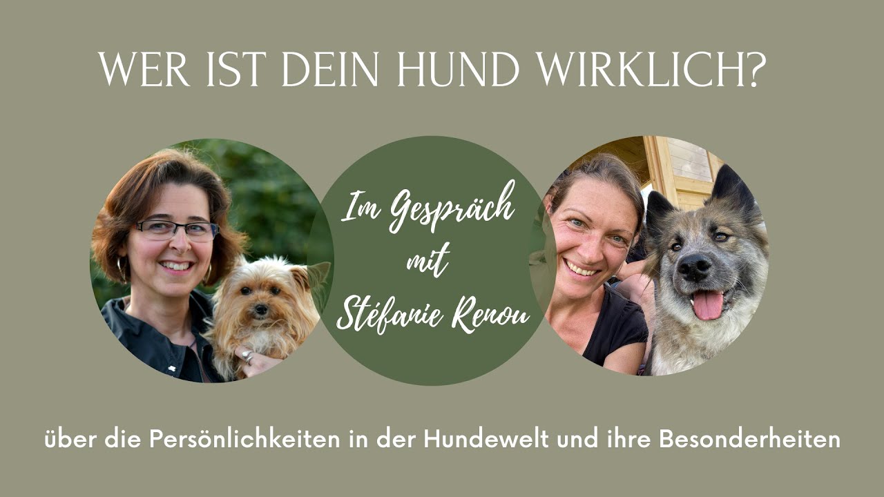 Die Pers&ouml;nlichkeit von Hunden  - Interview mit St&eacute;fanie Renou von Tierstimmung