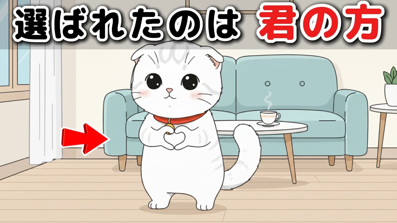 【猫の雑学】実はあなたの猫、“ずっと前から”あなたを選んでた