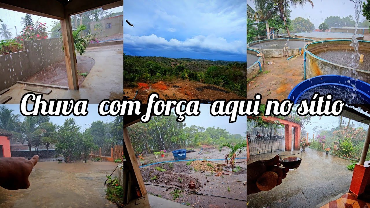 A chuva chegou  com força  pra deixar nosso sítio  ainda mais produtivo - CHUVA NO NORDESTE 