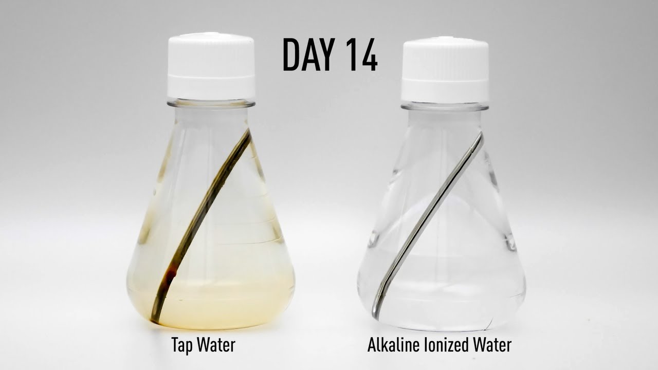 Alkaline Ionized Water Practical Test -Rust Test
