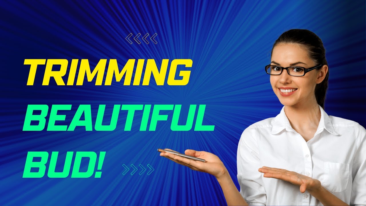 Trimming Beautiful Bud!