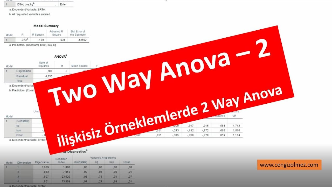 İlişkisiz Örneklemler için İki Faktörlü Anova / (2 Way Anova)