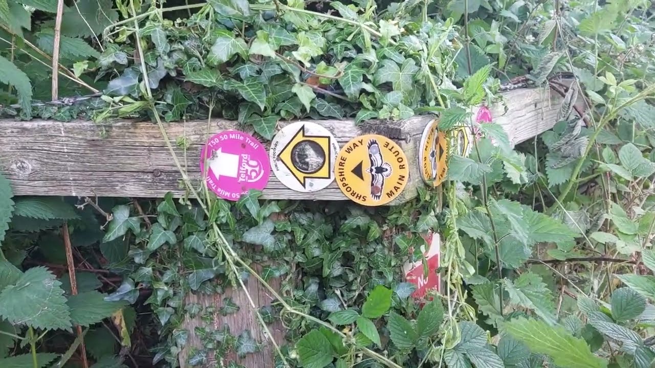 Telford T50 50 Mile Trail