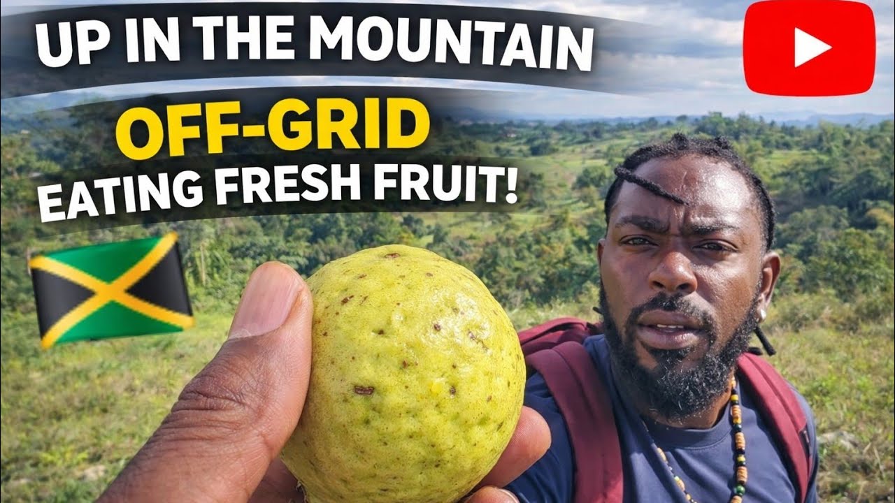 OFF GRID MOUNTAIN WALK COUNTRY SIDE ST ANN JAMAICA LANDSCAPE 🇯🇲 