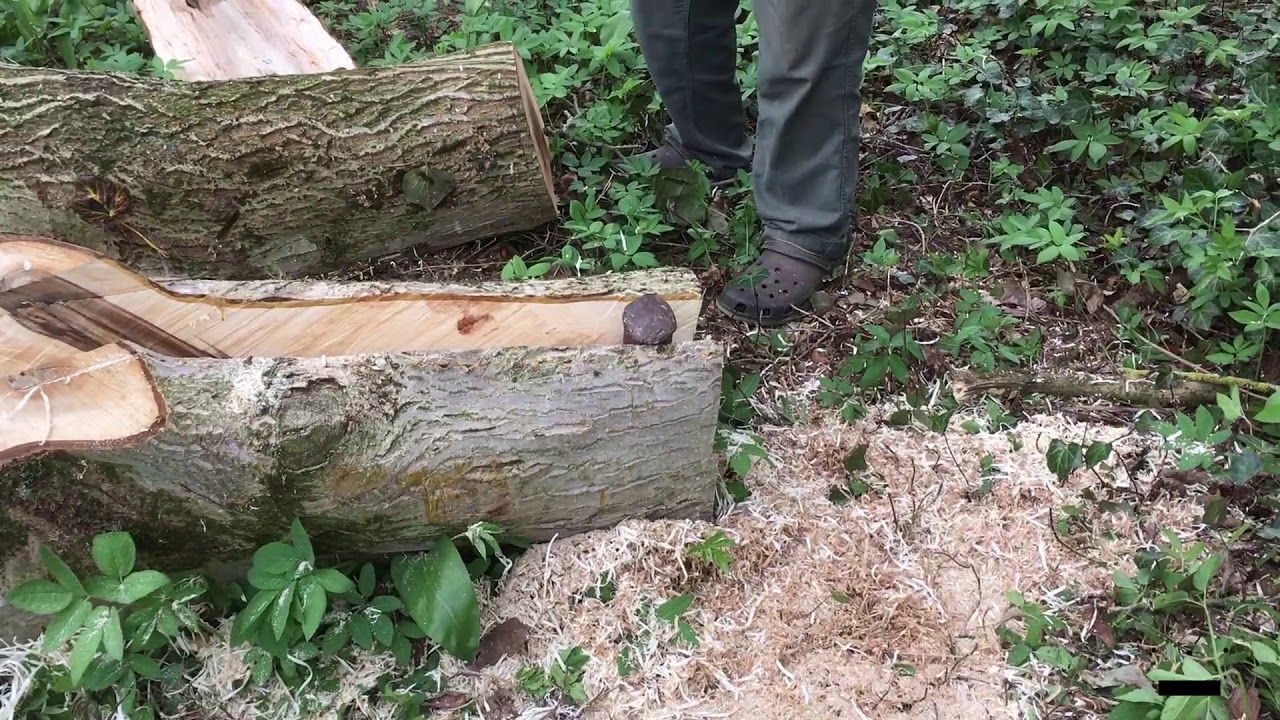 Holzstamm keilen