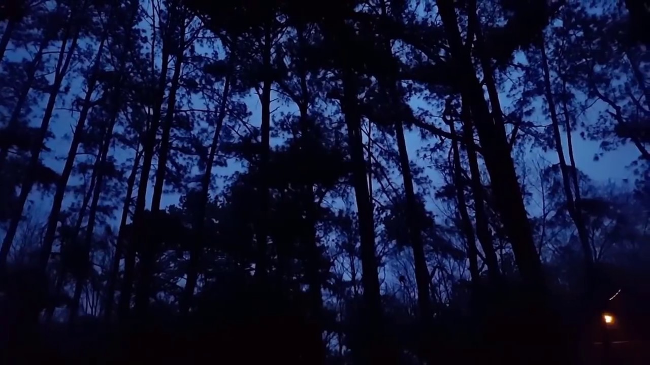 MYSTERIOUS BOOMS AND TRUMPET SOUNDS IN THE SKY 2018 COMPILATION (#6)