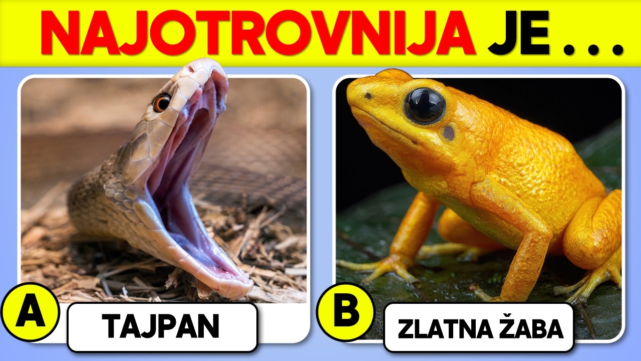 ✅Koliko Dobro Poznajete ŽIVOTINJE?🐸🐍| Kviz Opšteg Znanja🦂