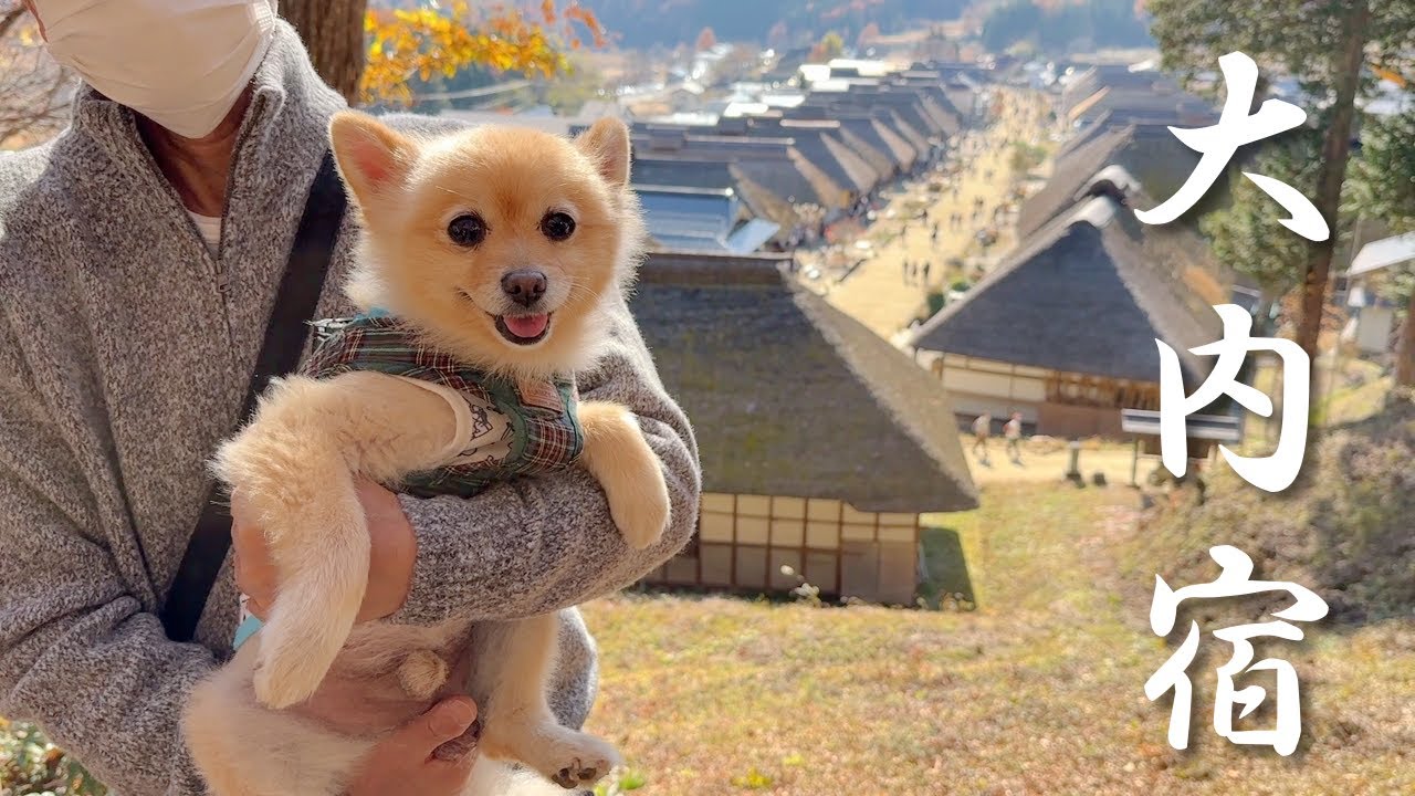 愛犬と江戸時代にタイムスリップしてきました！【大内宿】
