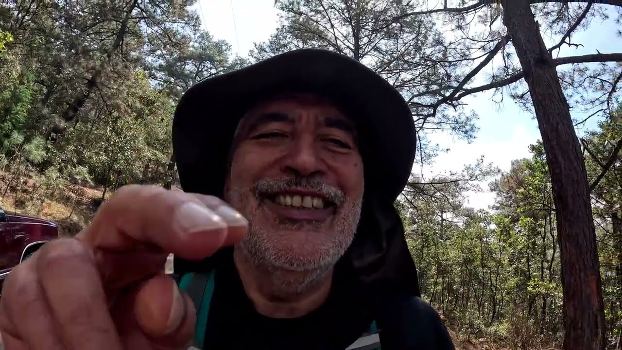 2026.01.31 - GoPro12 - Circuito Pico Azul - Torre del Guardabosques