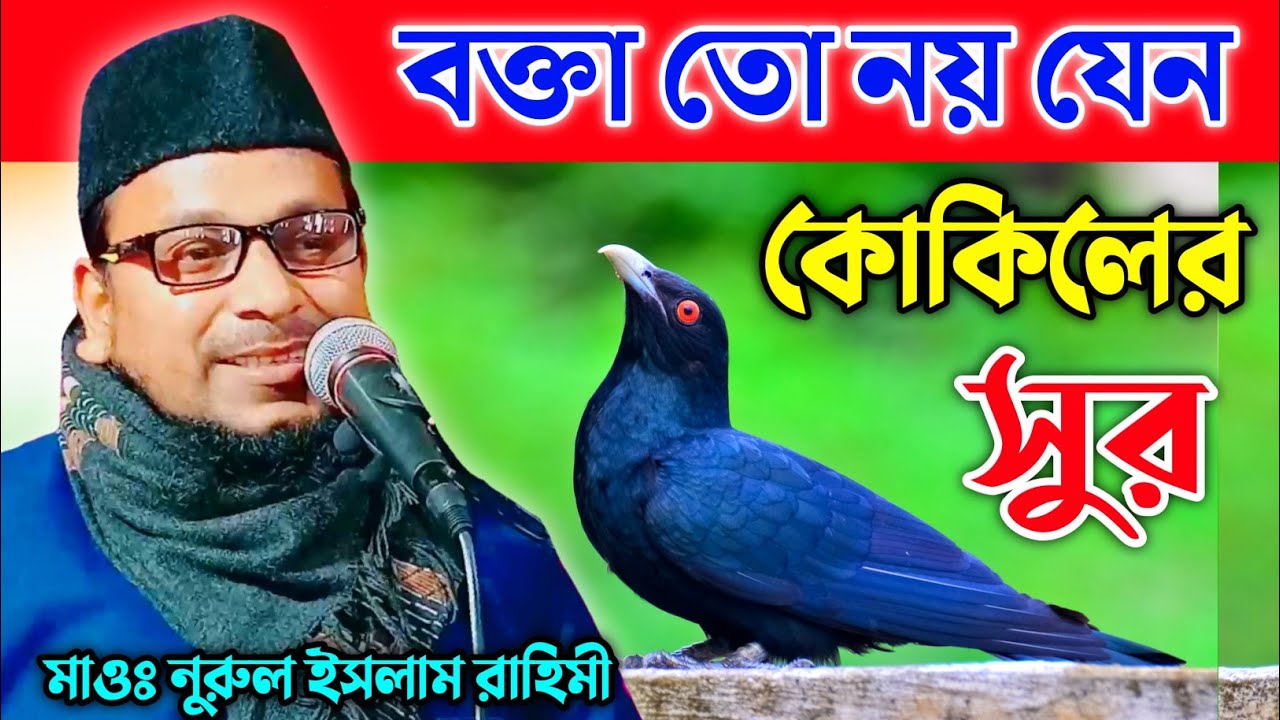 বক্তা তো নয় যেন কোকিলের সুর | Maulana Nurul Islam Rahimi | M.B.A.J.Channel