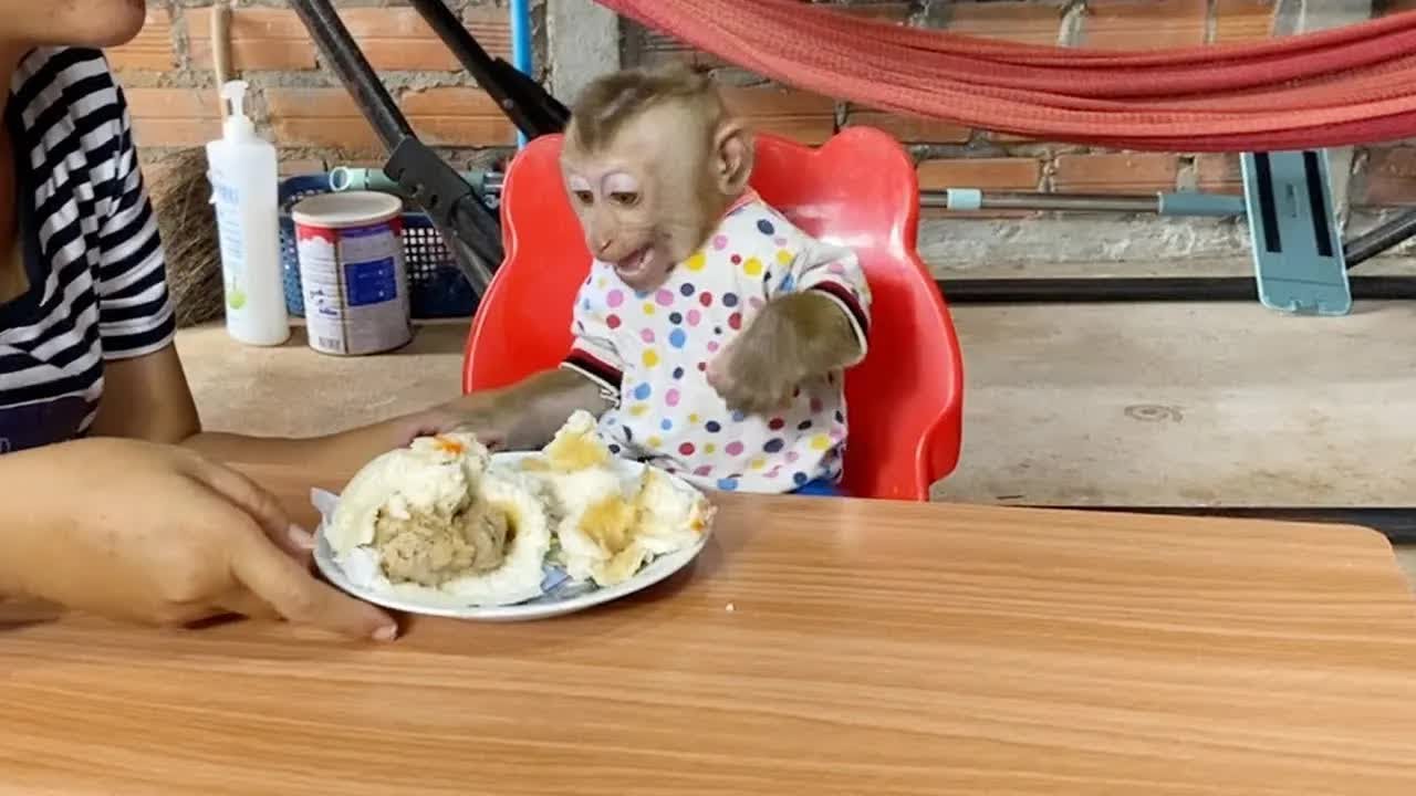 Older DAM Never Want To Lost His Milk Bottle Even Mom Feed Food