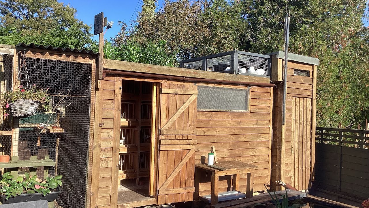 Tippler pigeon loft and kit box measurements.