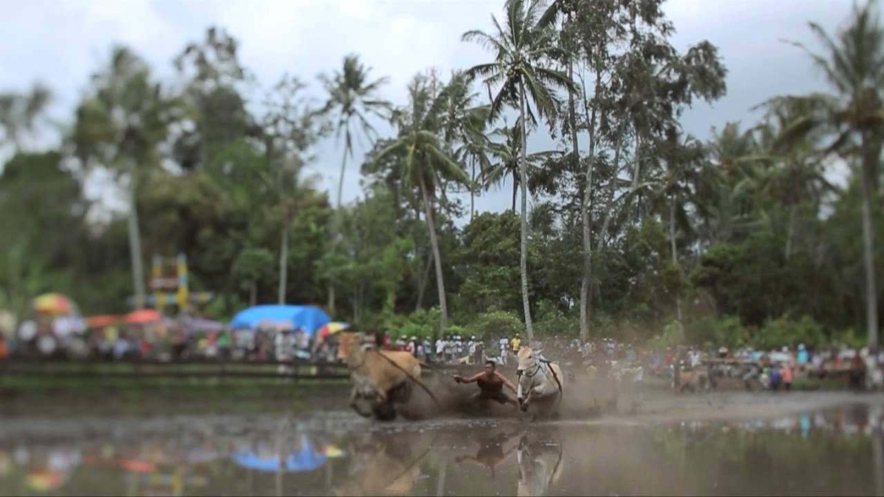 Wonderful West Sumatera
