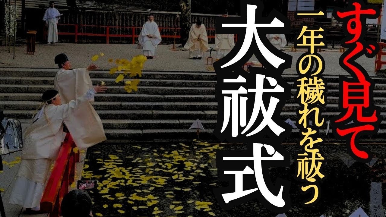 ⚠️2026年に運気を切り替えたい人はすぐ見て！下鴨神社の大祓い！清めて新しい年へ