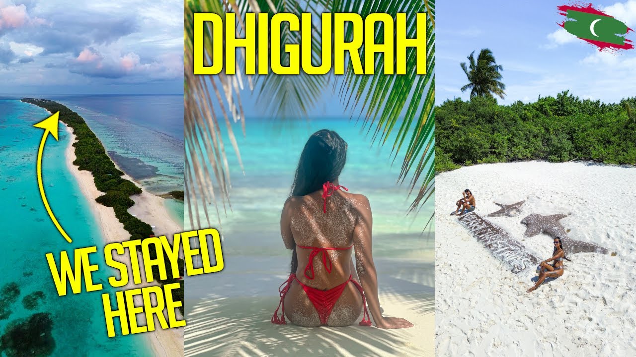 3 Days on Dhigurah Island Maldives - Whale Shark & Manta Ray Tour