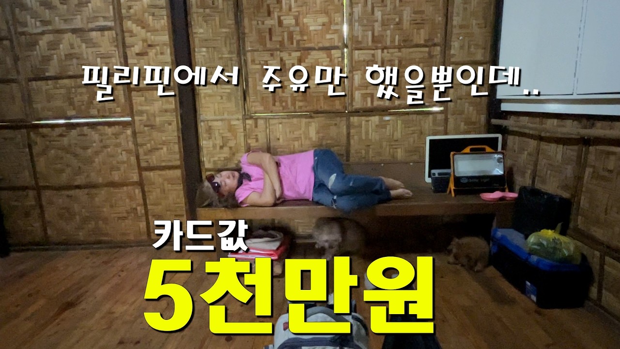 남편 나라에서 남편없이 신용카드 1장으로만 살여보려다 망함!/한필부부