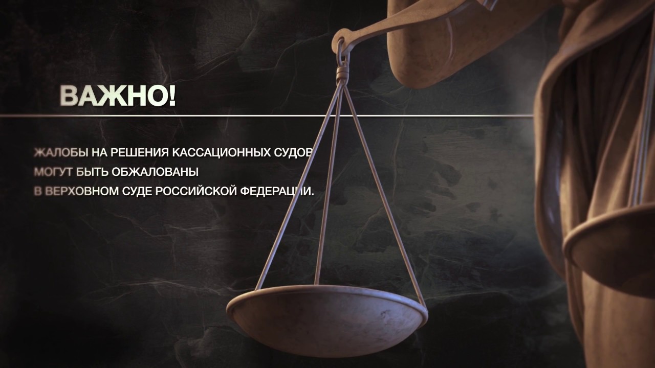 Кассационные и апелляционные суды: что это такое и как обжаловать судебное решение?