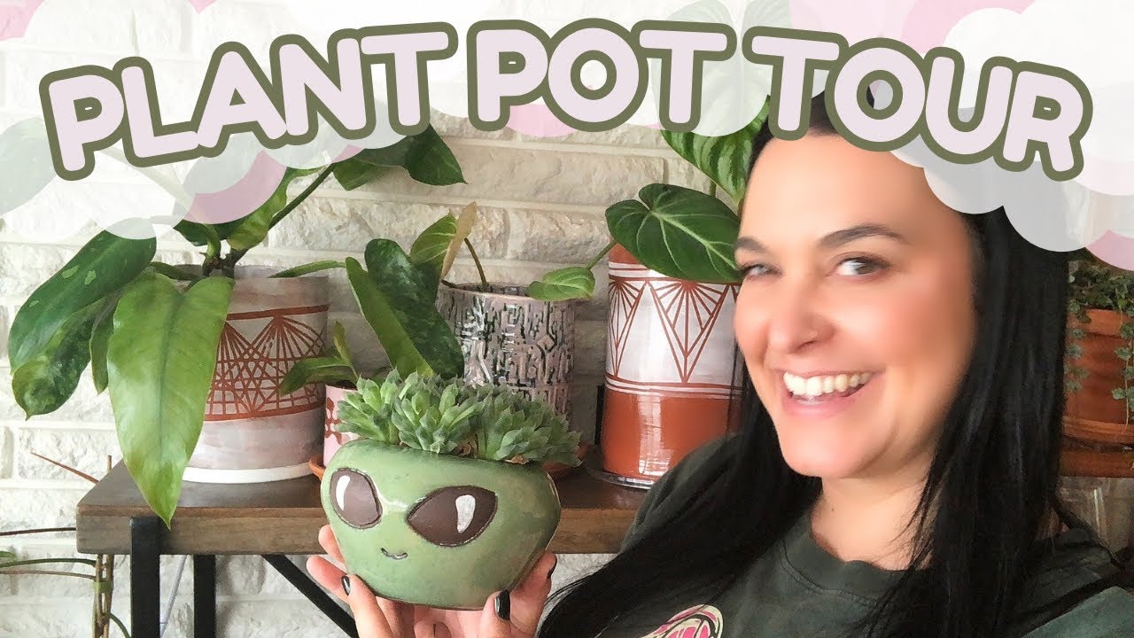 Plant Pot Tour  - How To Arrange Indoor Plants At Home