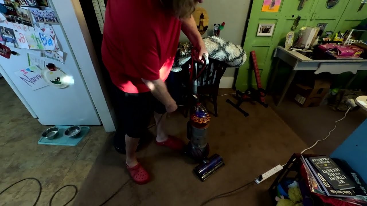 Dyson Ball Animal 3 Vacuuming A Customer's Living Room