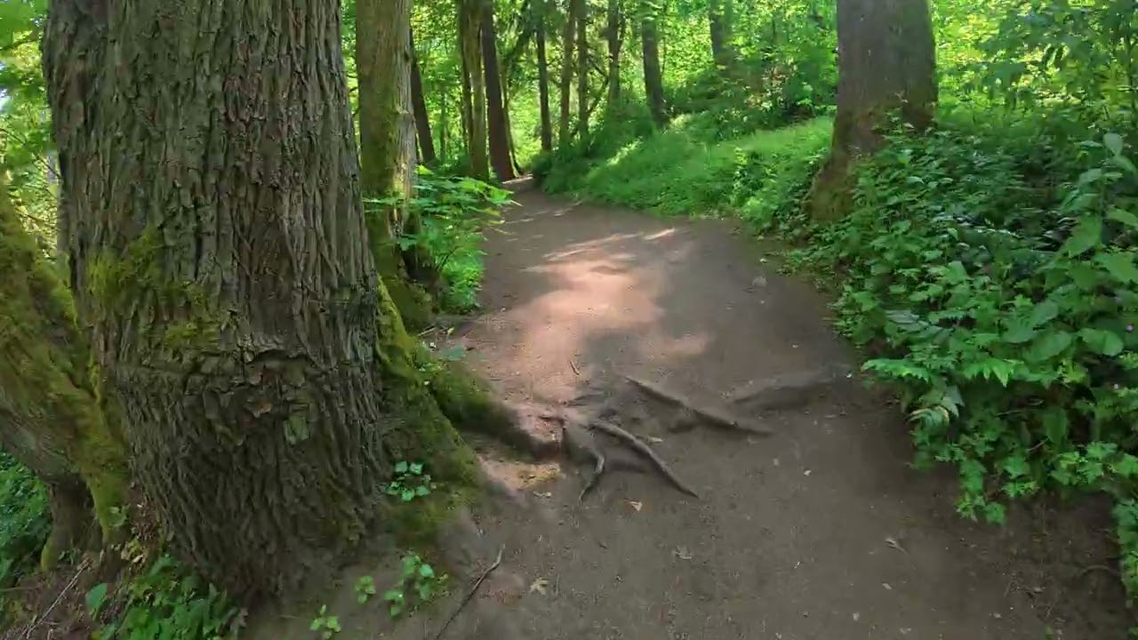 Discovery Park Seattle Walk to beach