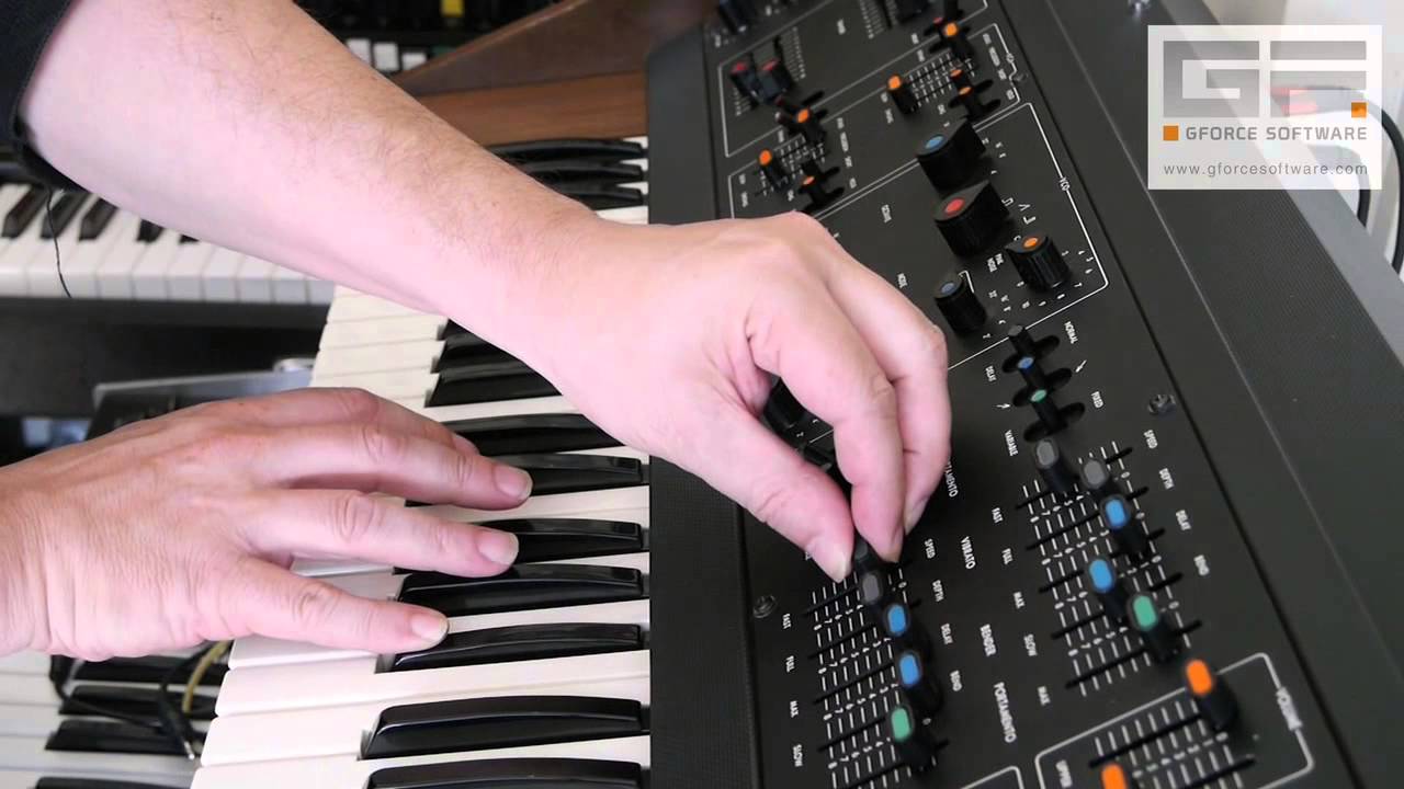 Korg 800DV