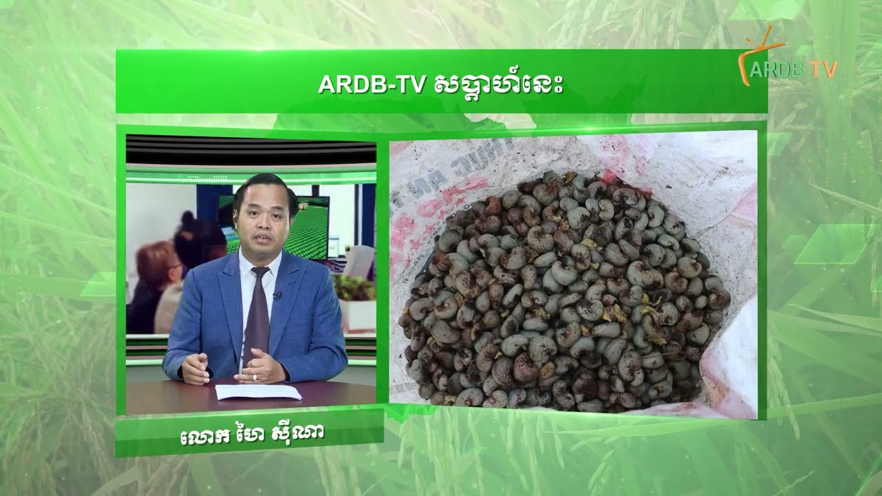 កម្មវិធី ARDB TV សប្តាហ៍នេះ