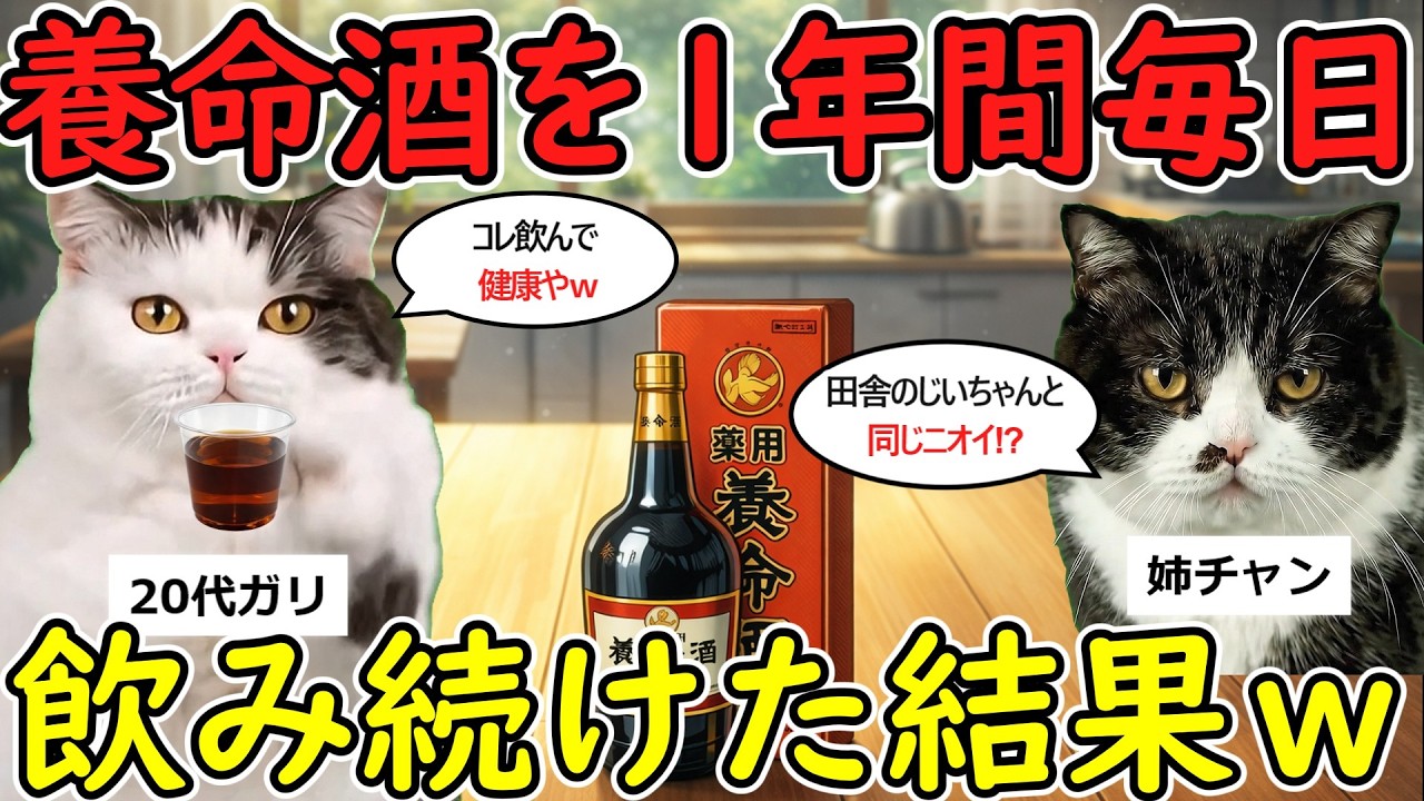【悲惨】養命酒を1年間毎日飲み続けた結果ww【猫ミーム】