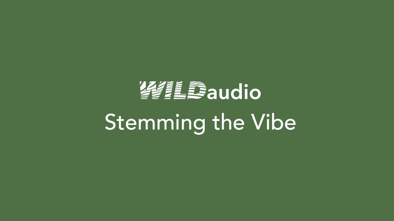 WILDaudio: Stemming the Vibe