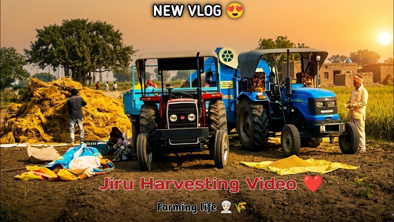 New Vlog 😍// Farming Life 👳🏻🌾// આજ Full Comedy 😅// Jiru Harvesting Video 📸 // 2026.