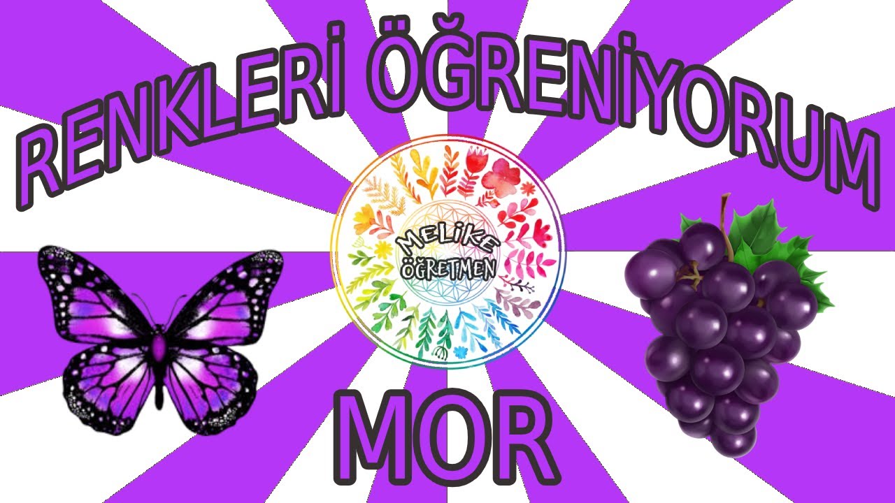 RENKLERİ ÖĞRENİYORUM // MOR // OKUL ÖNCESİ