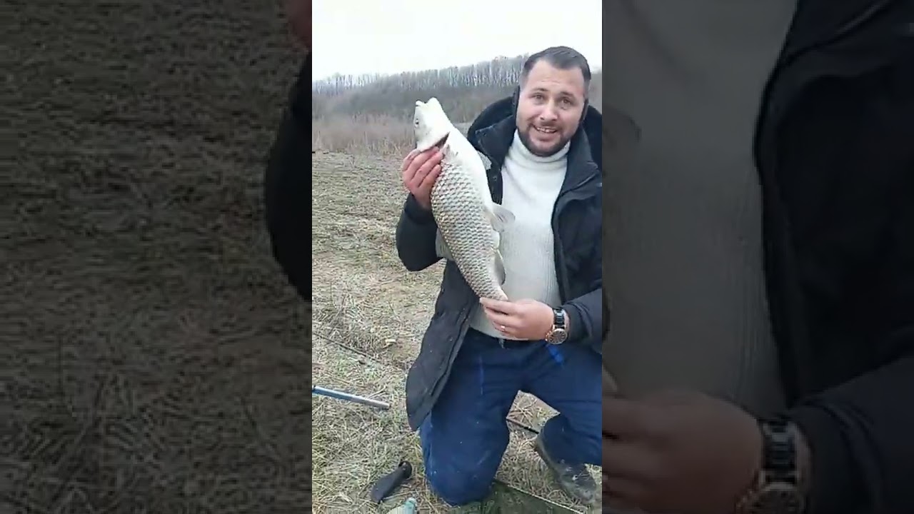 Big Monter fish (Bolonese Tica  6m Concept)