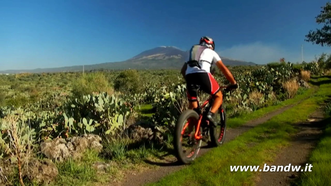 FAT (Bike) Passion