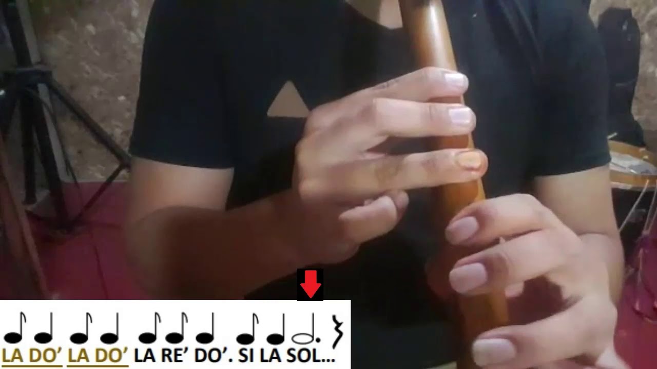 Pajaro Chogüi tutorial para quena