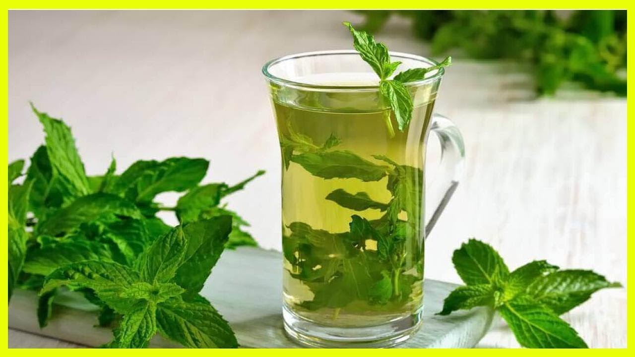 Menthe pouliot : bienfaits et bien plus encore