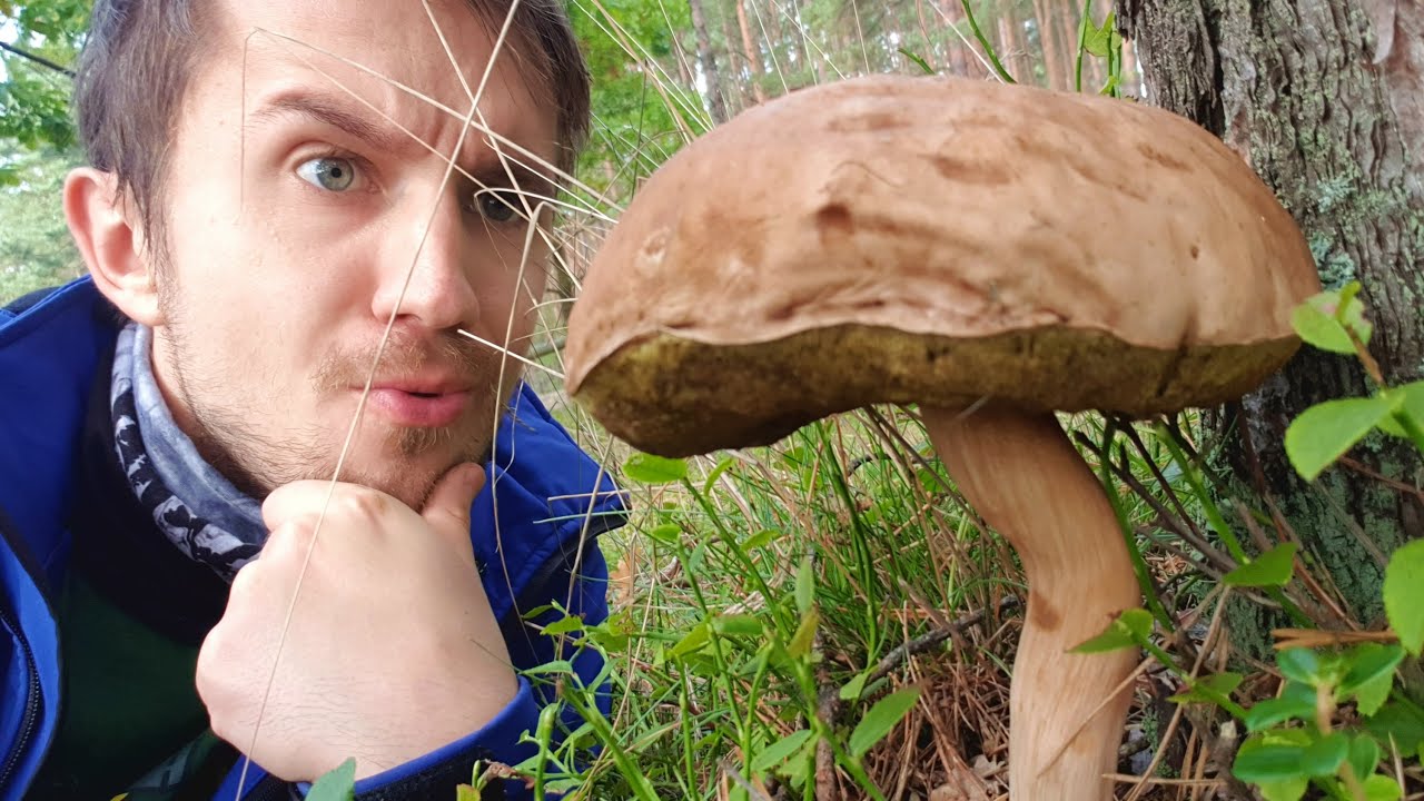 Po TAKIEGO GRZYBA przyjechałem! - grzybobranie nr 2 (wrzesień 2021)