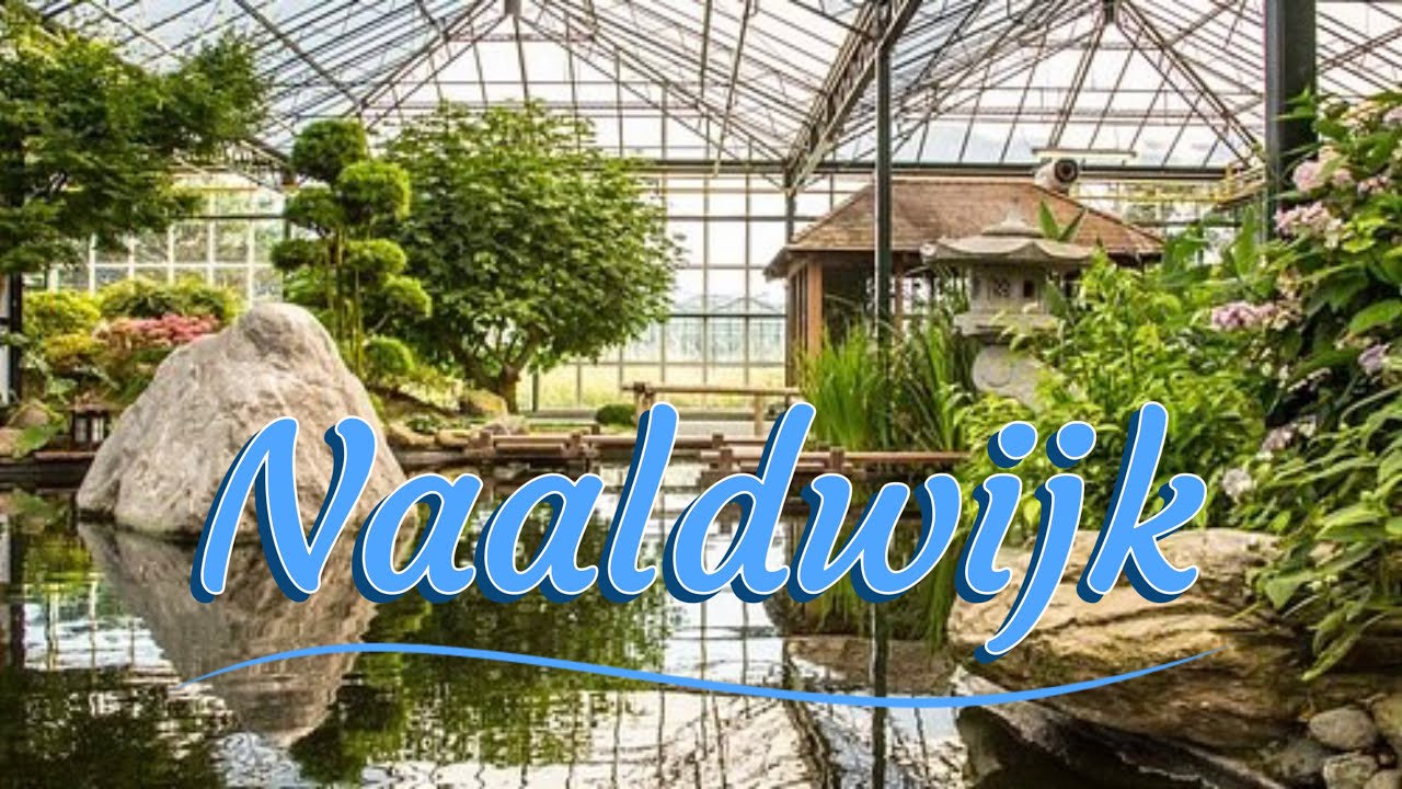 beuty of naaldwijk netherlands