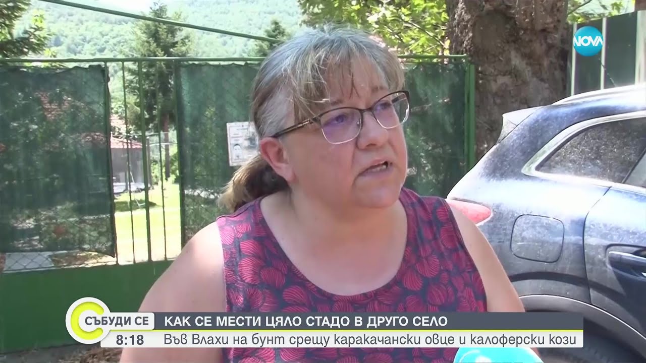 На село вече не е модерно да се гледат животни? Фермери и общинари от Кресна в лют спор - Събуди се