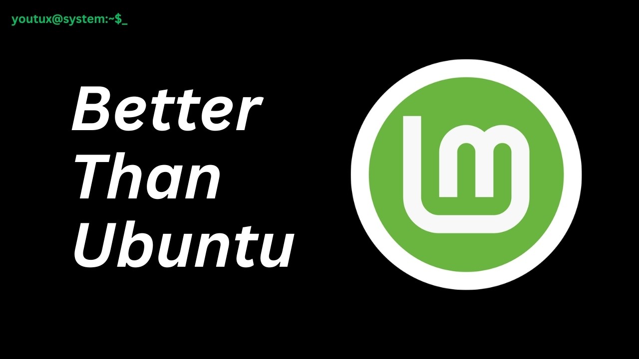 Одна ночь с Зеной (Linux Mint 22.3)