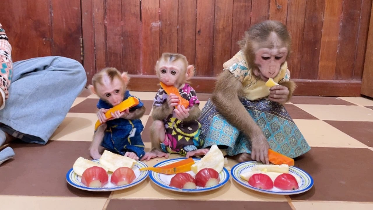 Chichi, Ronaldo & Selena Having Mix Fruits Party Dinner