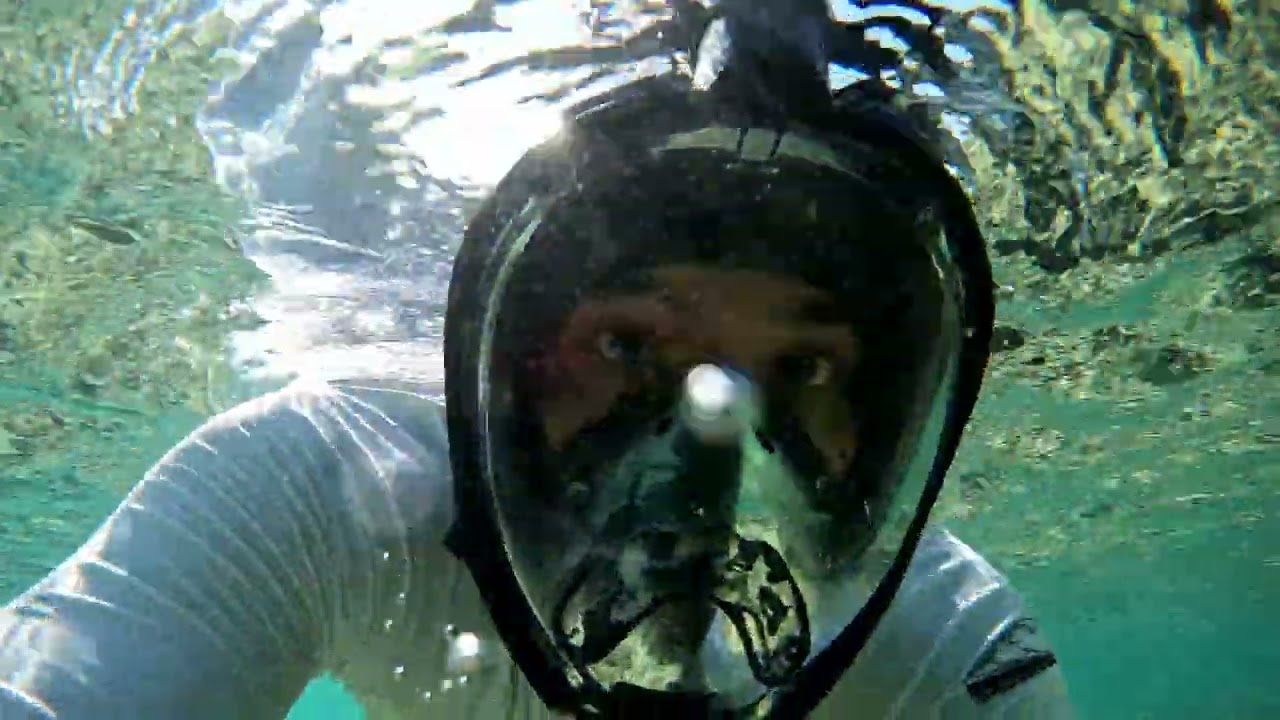 Snorkeling in the Red Sea Saudi Arabia