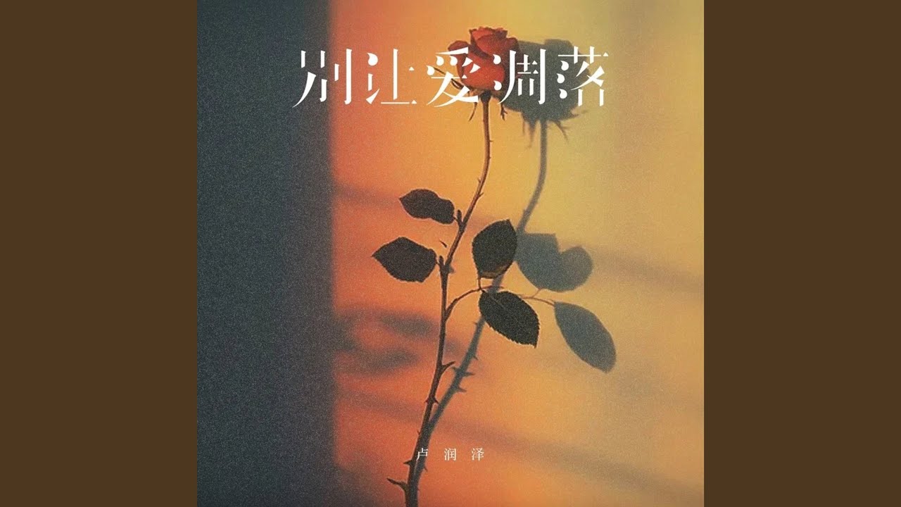 别让爱凋落 (Djlhn版)