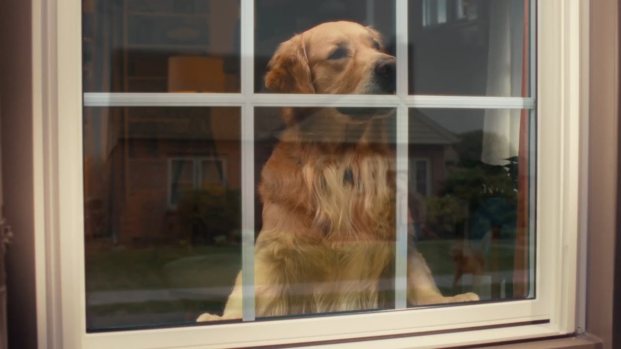 It's a Beautiful World