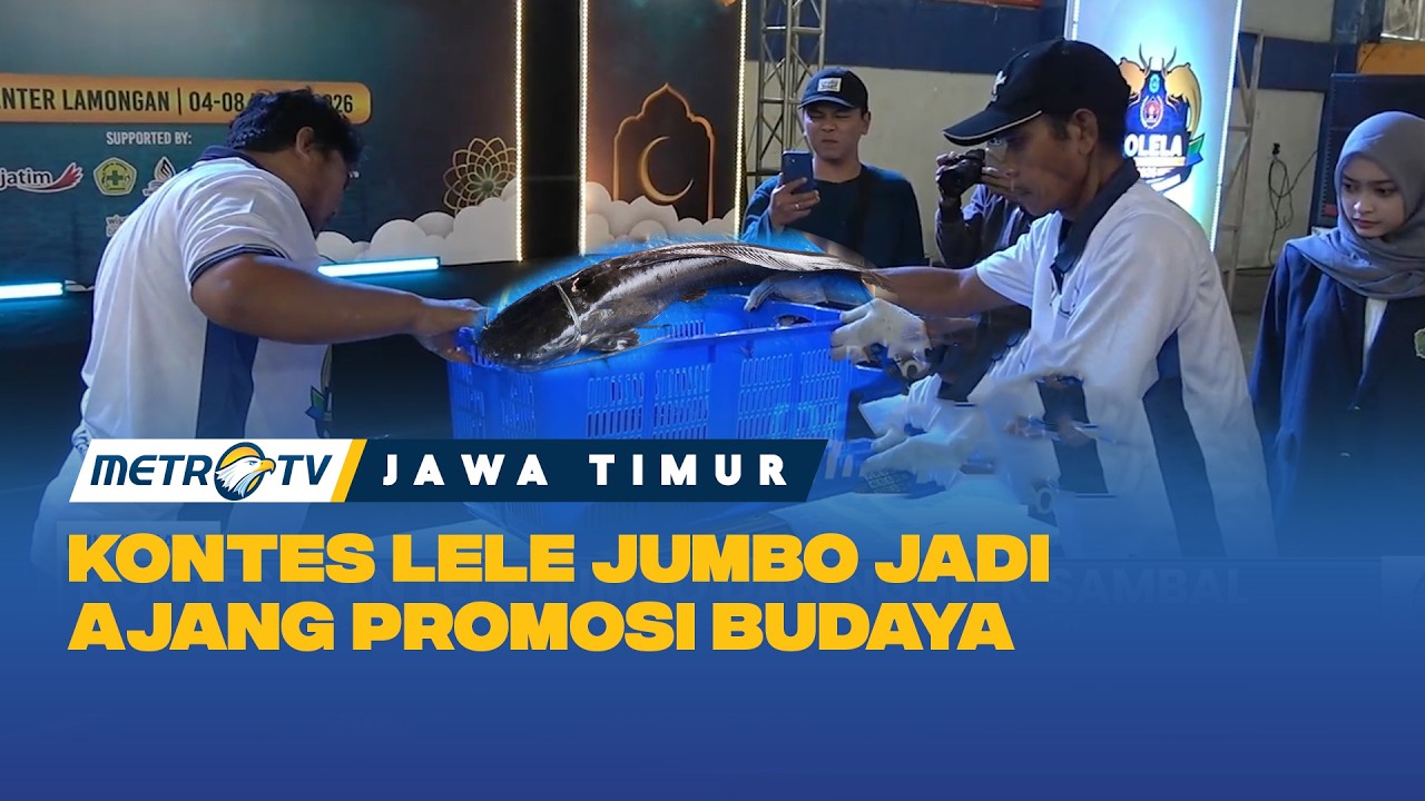 Kontes Ikan Lele Jumbo & Ngulek Sambel di Lamongan
