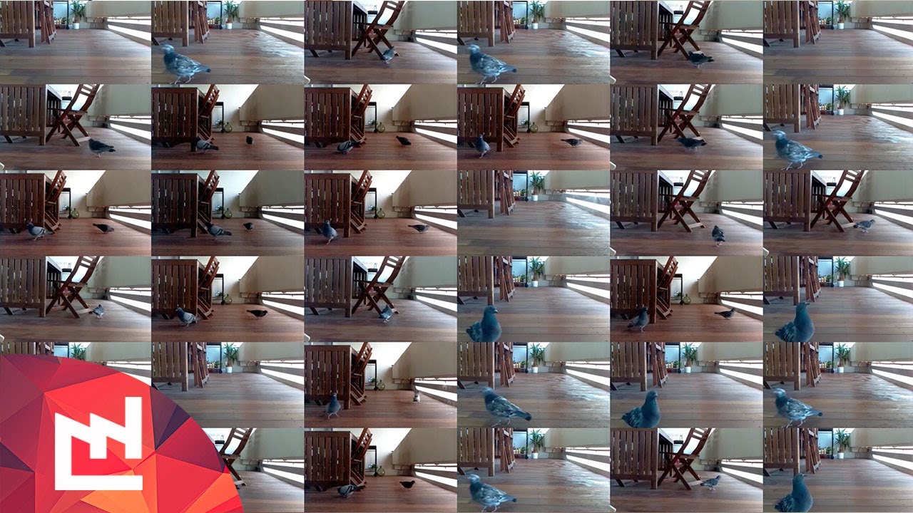 Deep learning anti-pigeon watering system