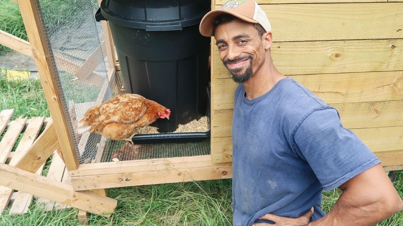 How to build an Automatic Chicken Feeder for $25