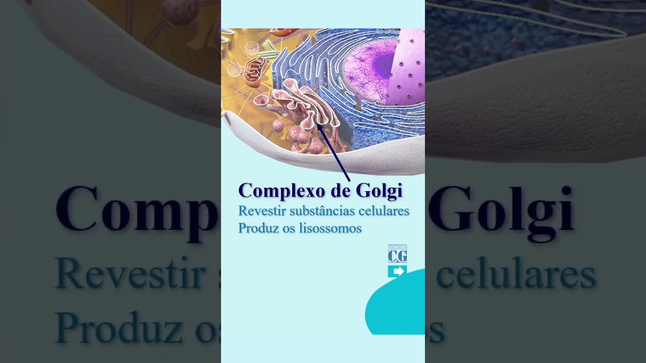 MORFOLOGIA DA C&Eacute;LULA ANIMAL