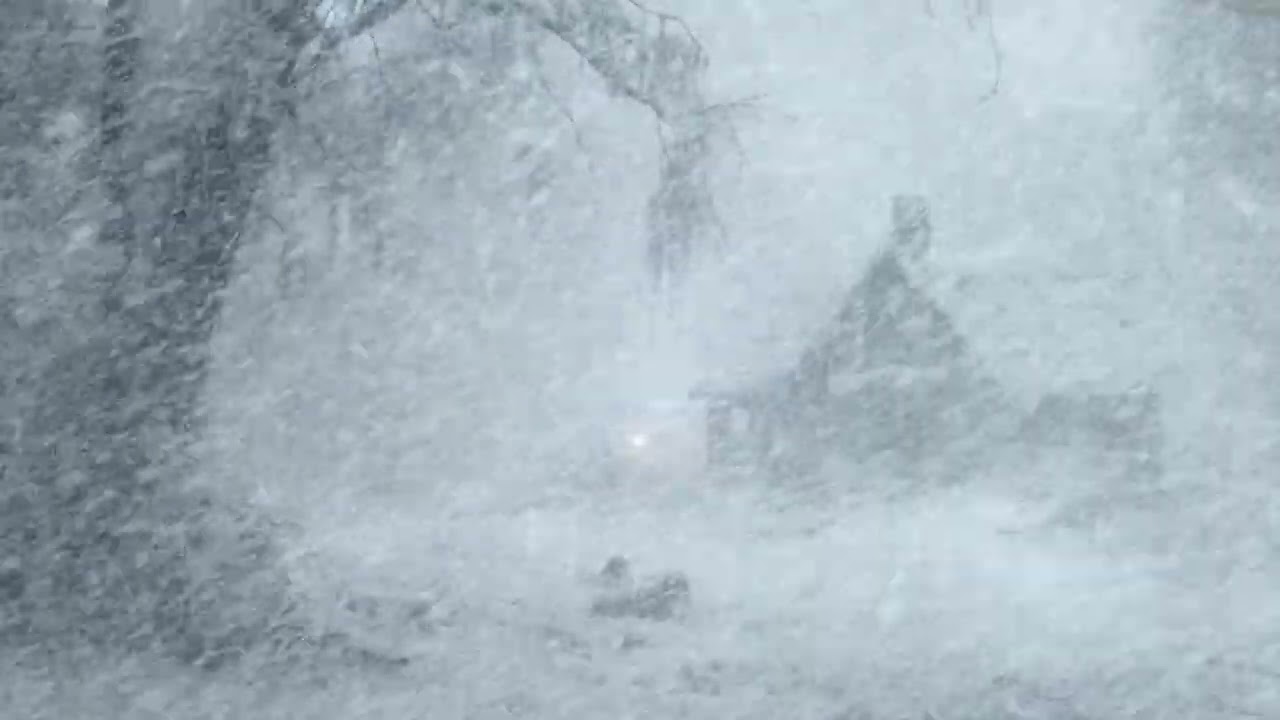 Heavy Blizzard Snowstorm | Intense Howling Wind & Snow Blowing | Sleep Sounds for Reduce Stress