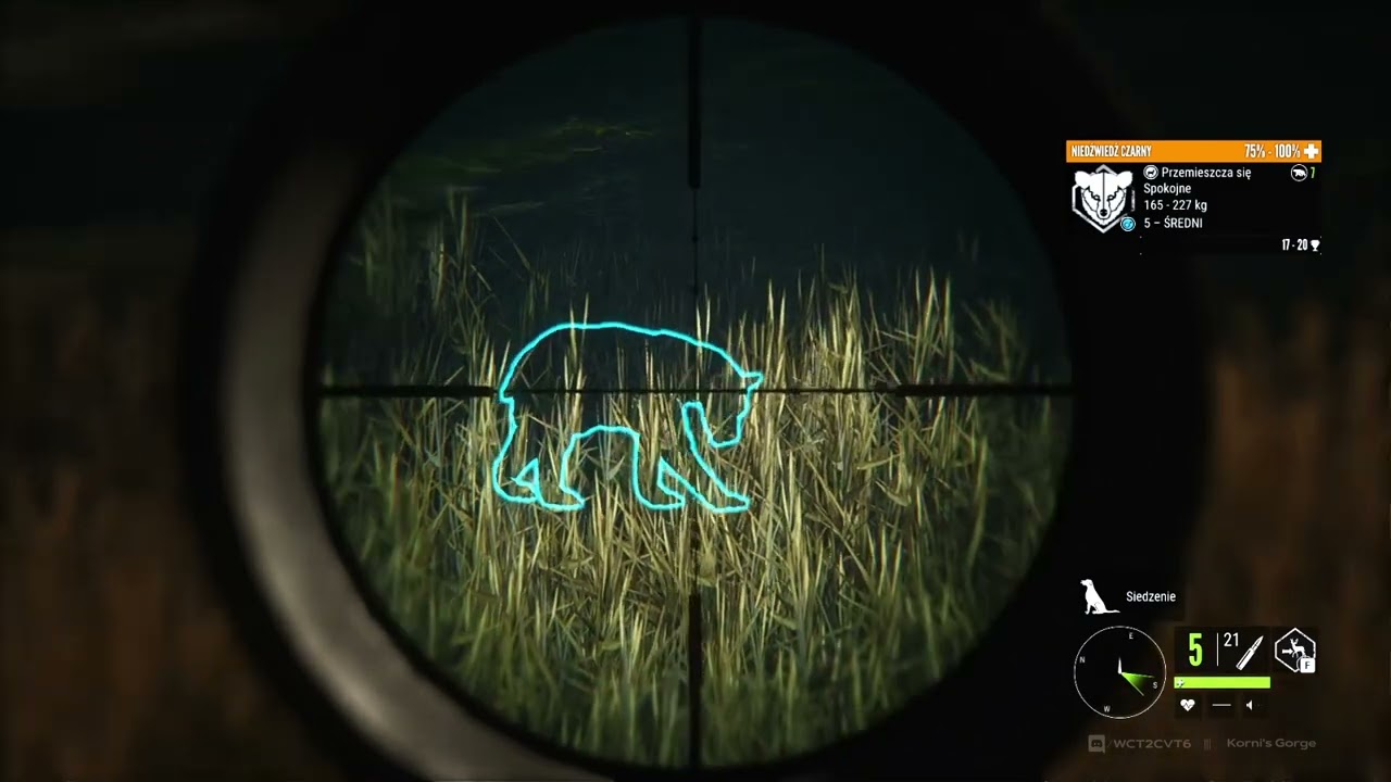 [COTW] Zarza .308 - polowanie na niedźwiedzia [NO COMMENTS]