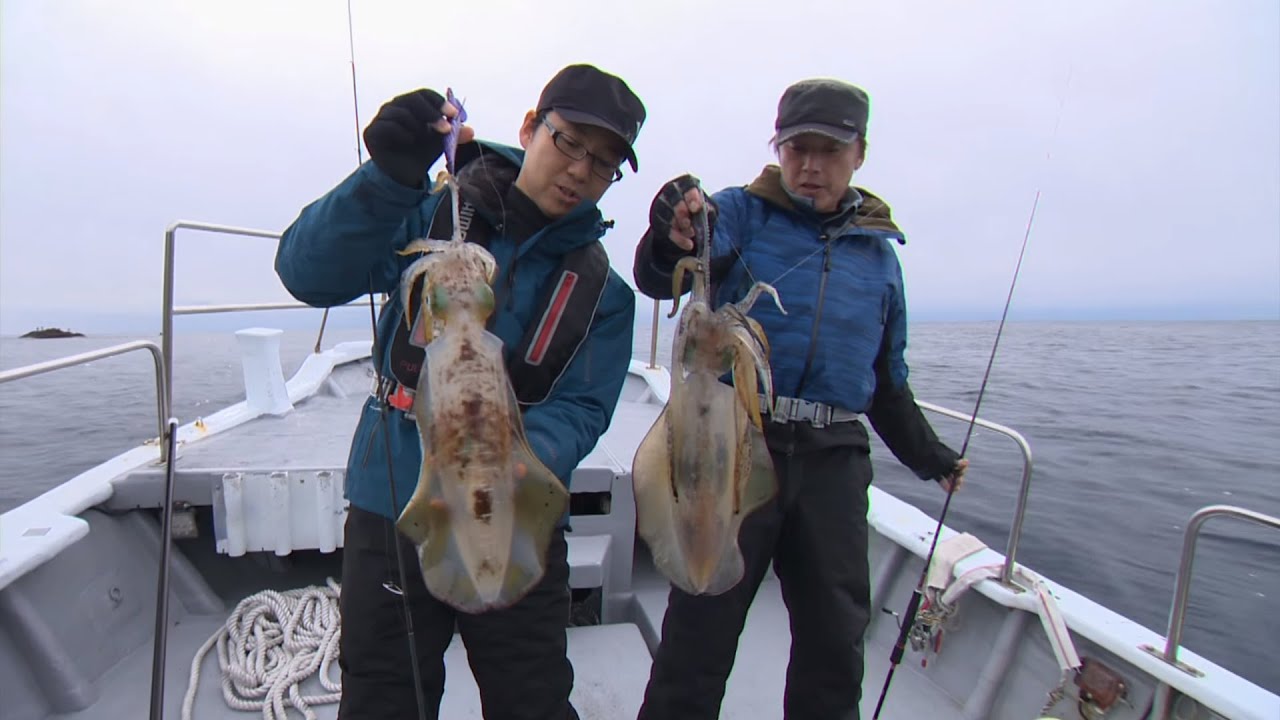 【釣り百景】#125 冬の大型アオリイカを狙え！黒潮あたる和歌山県のティップエギング