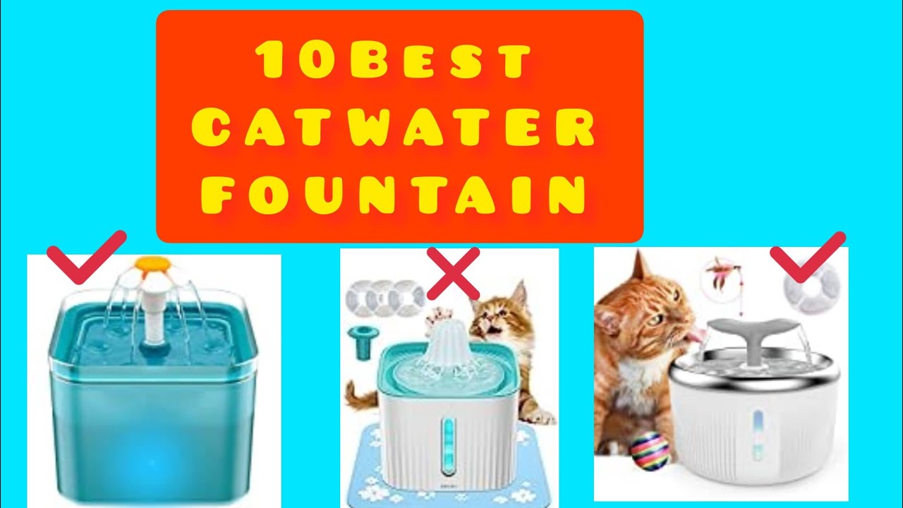 Top 10 Best  Cat Water Fountains on Amazon(don't buy before Watching)